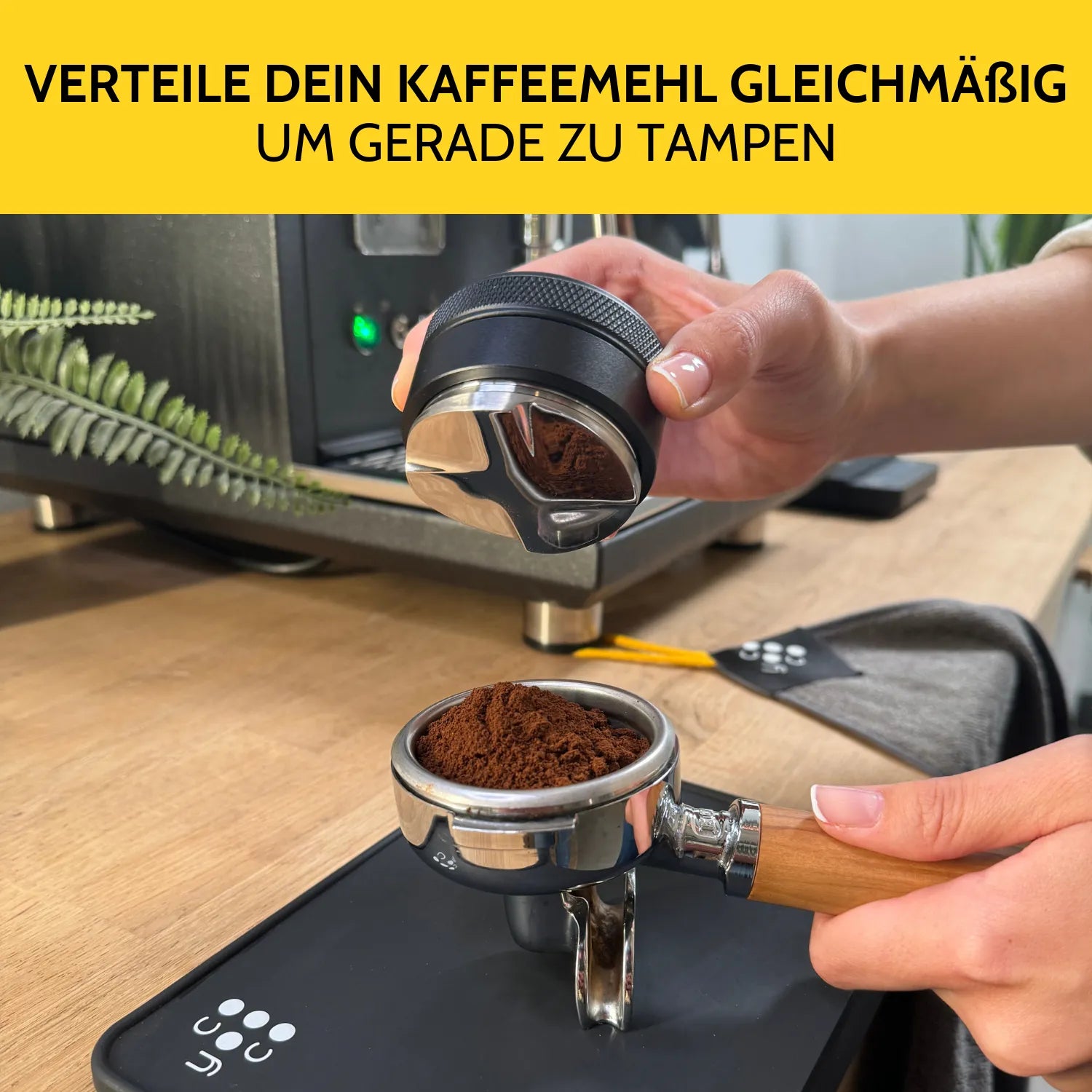 Leveler wird auf den Siebträger gesetzt. 